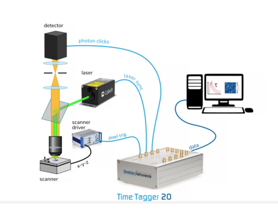 1715148283132516.png image.png